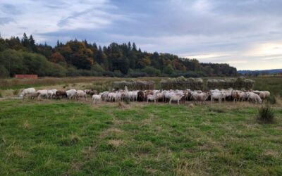 I won’t bore you with statistics