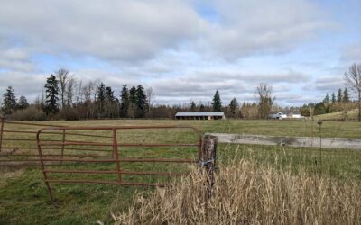 What is really going on with farmland loss?